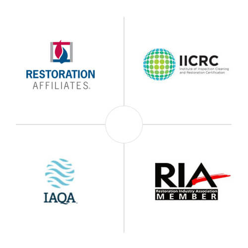 Trusted by Industry Leaders